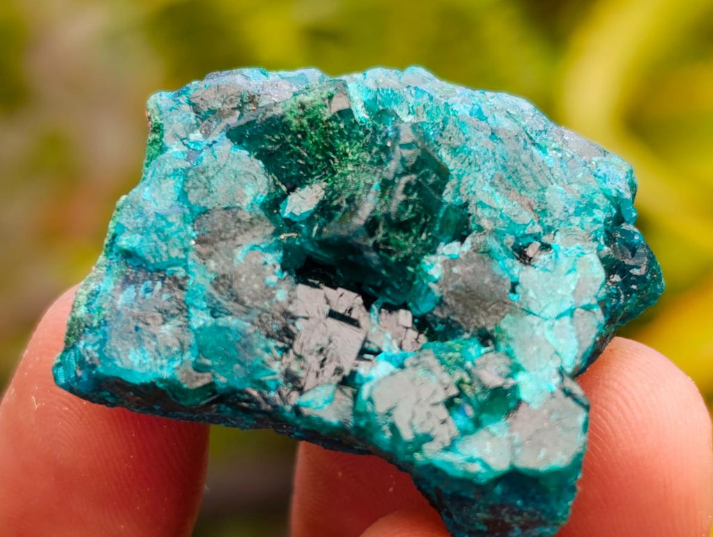 Natural Mini Dioptase on Dolomite Specimens x 12 From Likasi, Congo