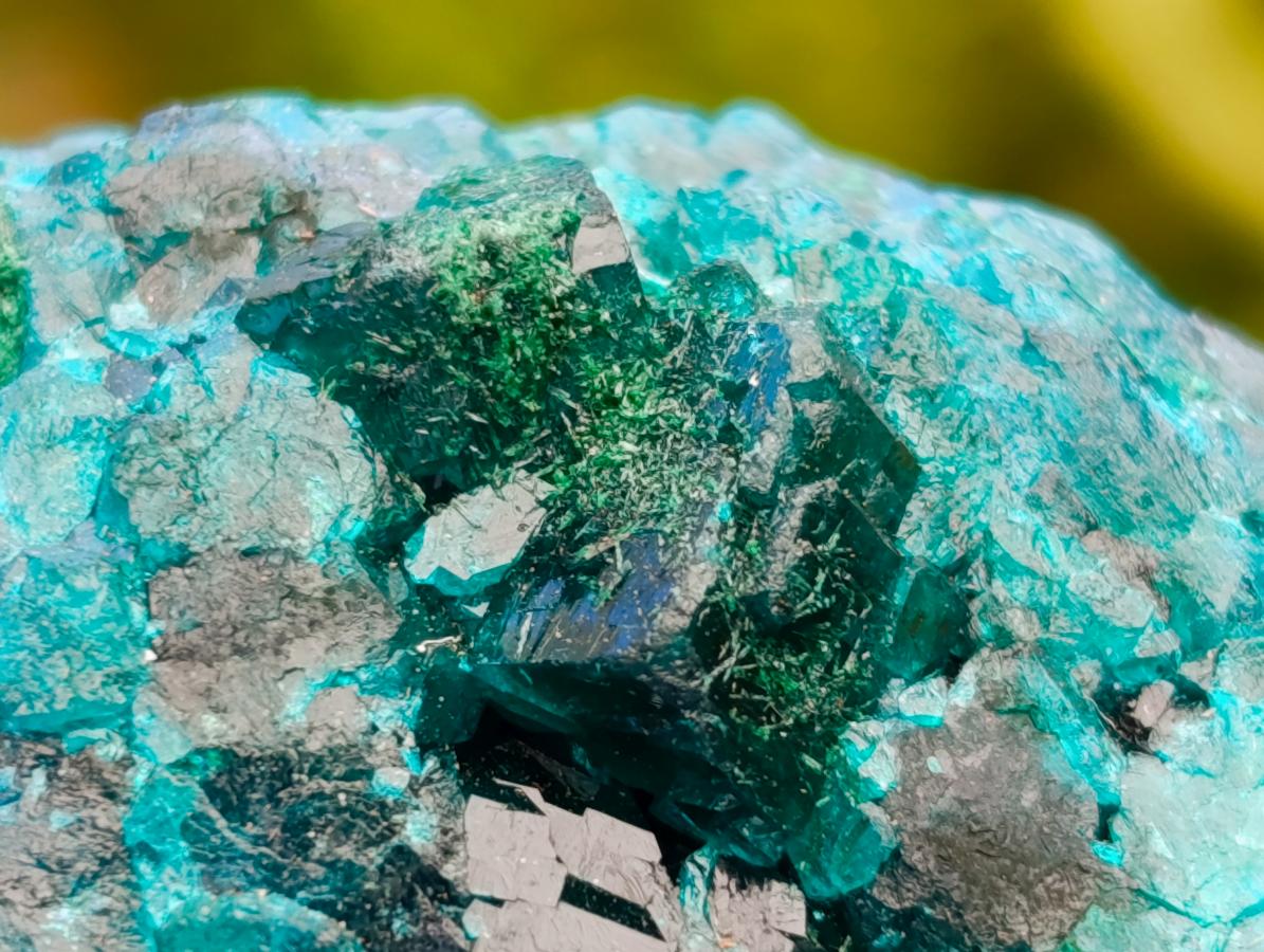 Natural Mini Dioptase on Dolomite Specimens x 12 From Likasi, Congo