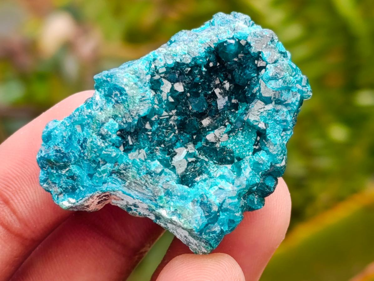 Natural Mini Dioptase on Dolomite Specimens x 12 From Likasi, Congo