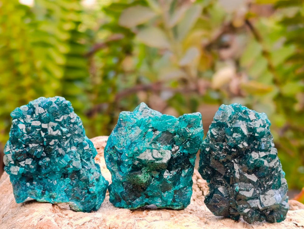 Natural Mini Dioptase on Dolomite Specimens x 12 From Likasi, Congo