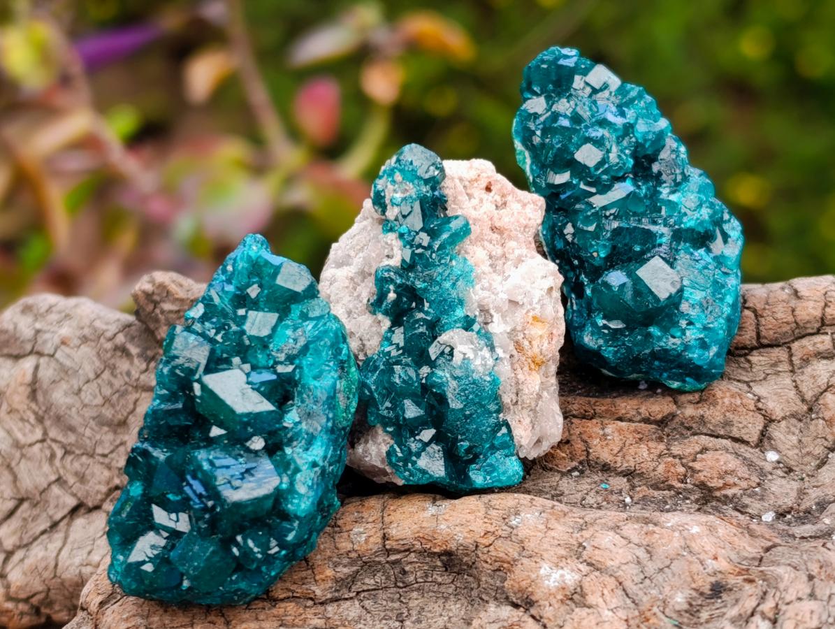 Natural Mini Dioptase on Dolomite Specimens x 12 From Likasi, Congo