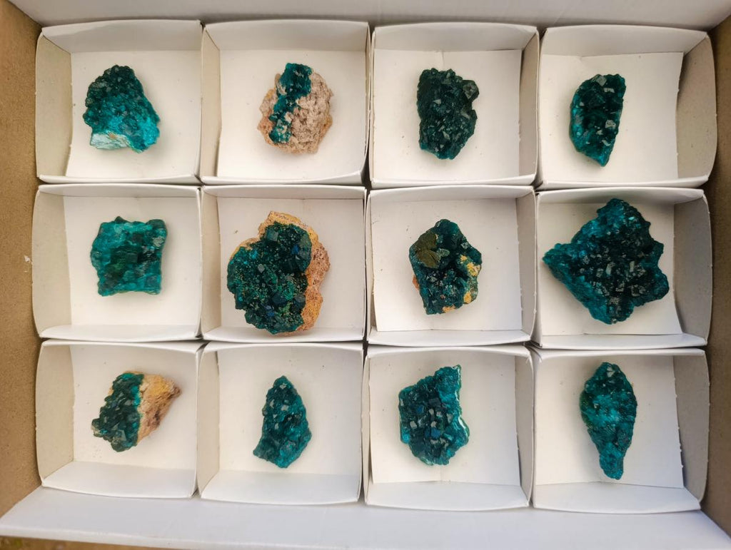 Natural Mini Dioptase on Dolomite Specimens x 12 From Likasi, Congo