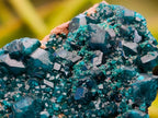 Natural Mini Dioptase on Dolomite Specimens x 12 From Likasi, Congo