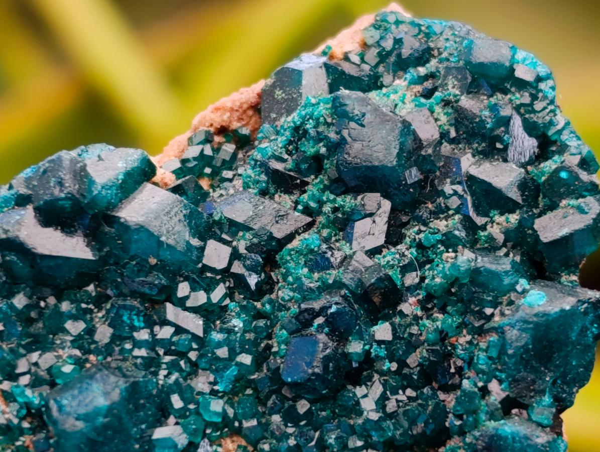 Natural Mini Dioptase on Dolomite Specimens x 12 From Likasi, Congo