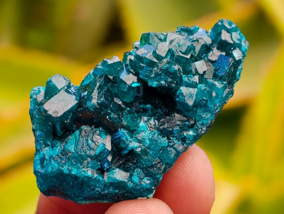 Natural Mini Dioptase on Dolomite Specimens x 12 From Likasi, Congo