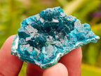 Natural Mini Dioptase on Dolomite Specimens x 12 From Likasi, Congo