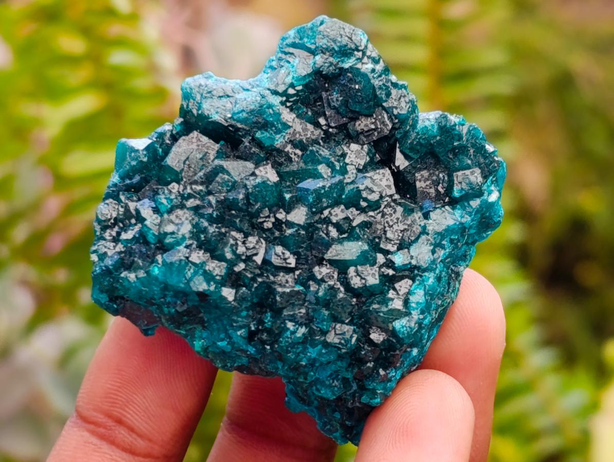 Natural Mini Dioptase on Dolomite Specimens x 12 From Likasi, Congo