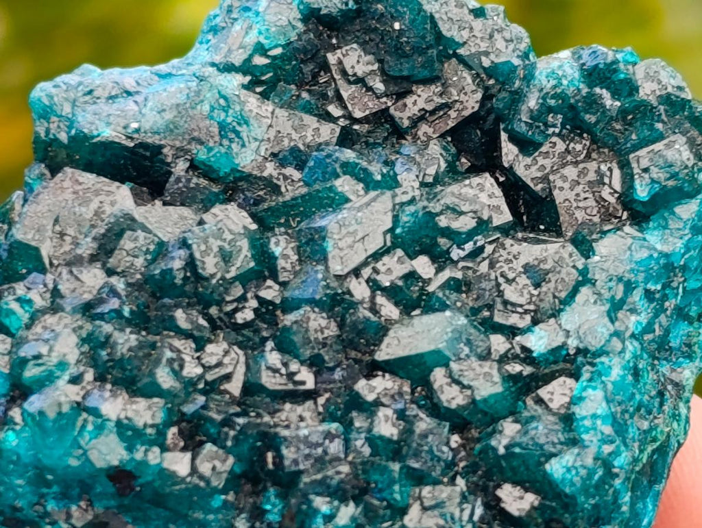 Natural Mini Dioptase on Dolomite Specimens x 12 From Likasi, Congo