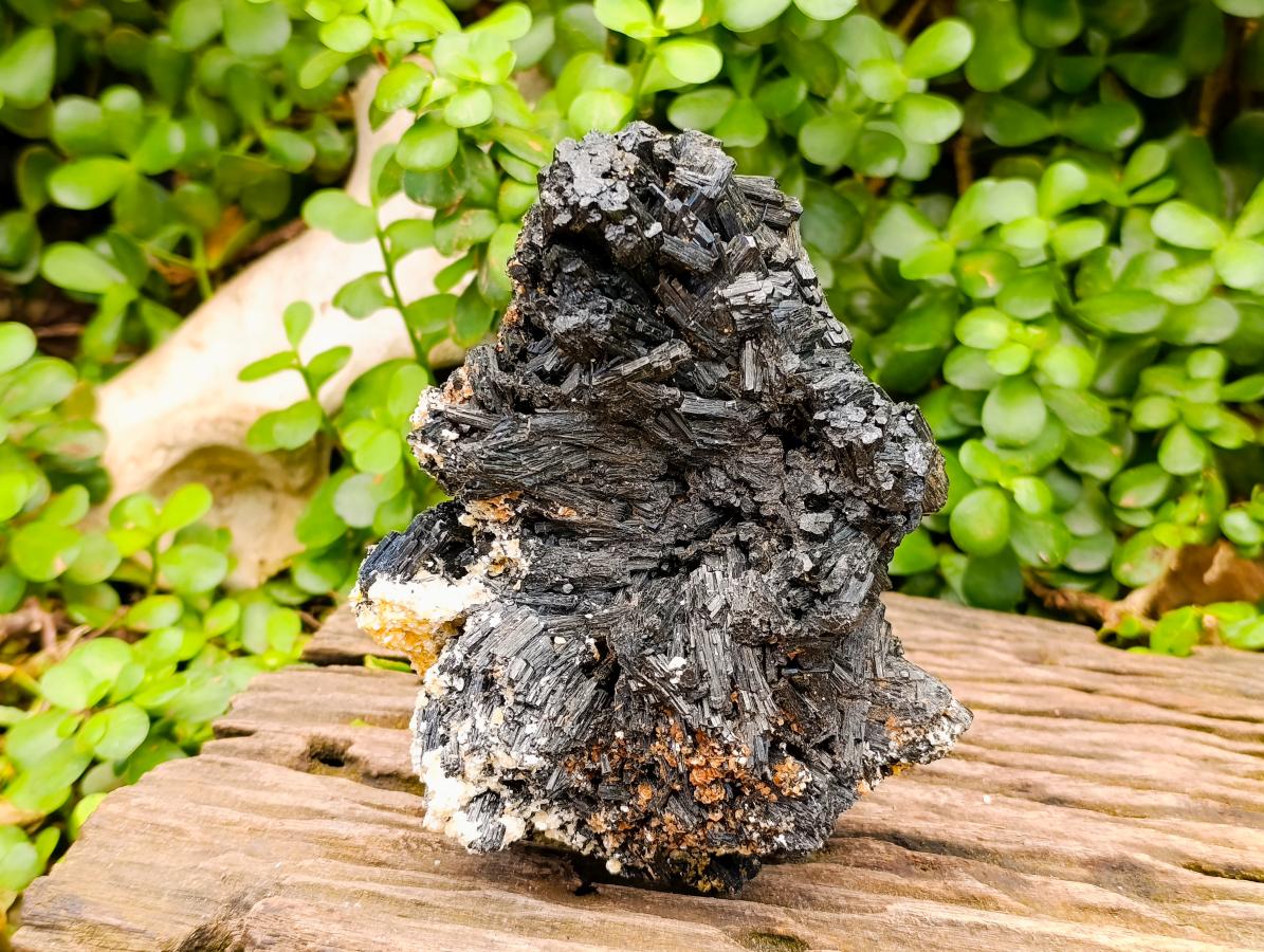 Natural Large Cabinet Schorl Black Tourmaline Specimen x 1 From Erongo, Namibia