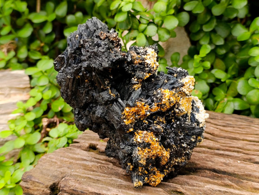 Natural Large Cabinet Schorl Black Tourmaline Specimen x 1 From Erongo, Namibia