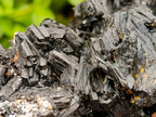 Natural Large Cabinet Schorl Black Tourmaline Specimen x 1 From Erongo, Namibia