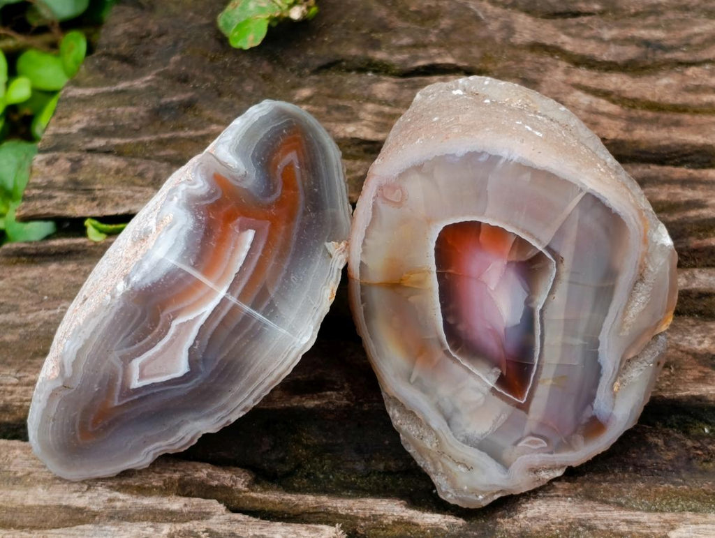Polished One Side  Red Shashe River Agate Nodules x 6 From Shashe River, Zimbabwe