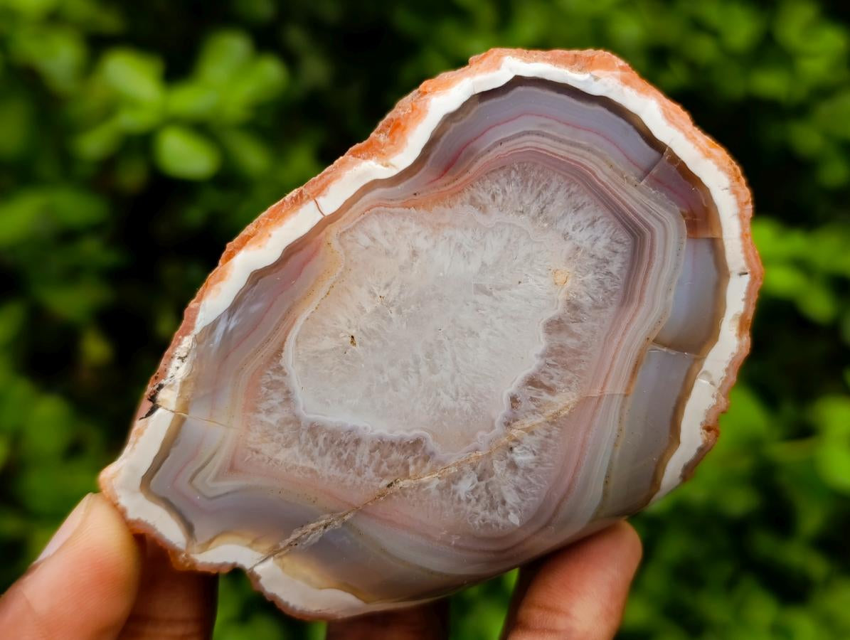Polished One Side  Red Shashe River Agate Nodules x 6 From Shashe River, Zimbabwe