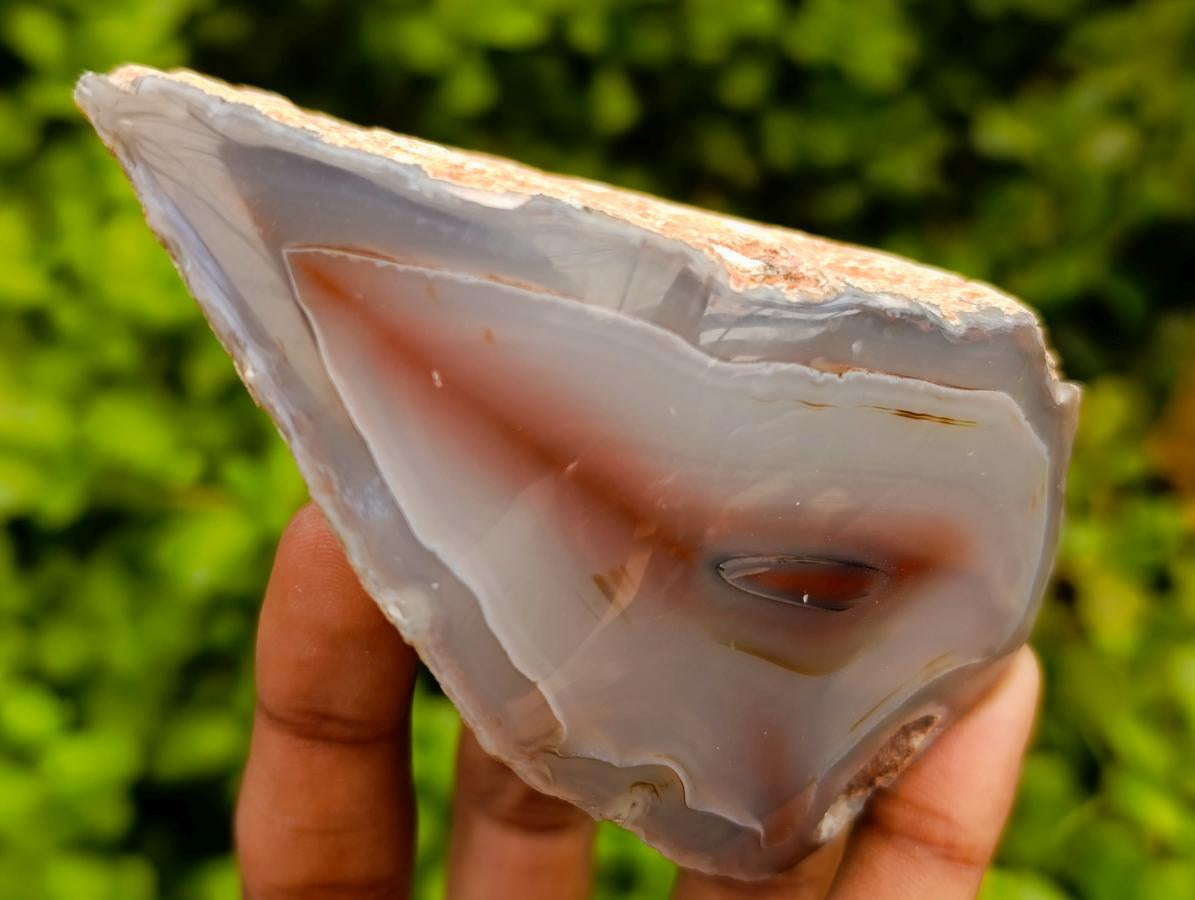 Polished One Side  Red Shashe River Agate Nodules x 6 From Shashe River, Zimbabwe