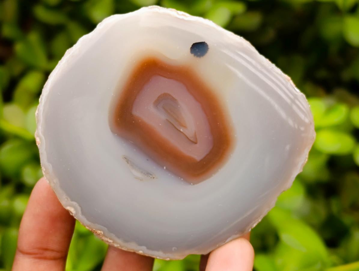 Polished One Side  Red Shashe River Agate Nodules x 6 From Shashe River, Zimbabwe