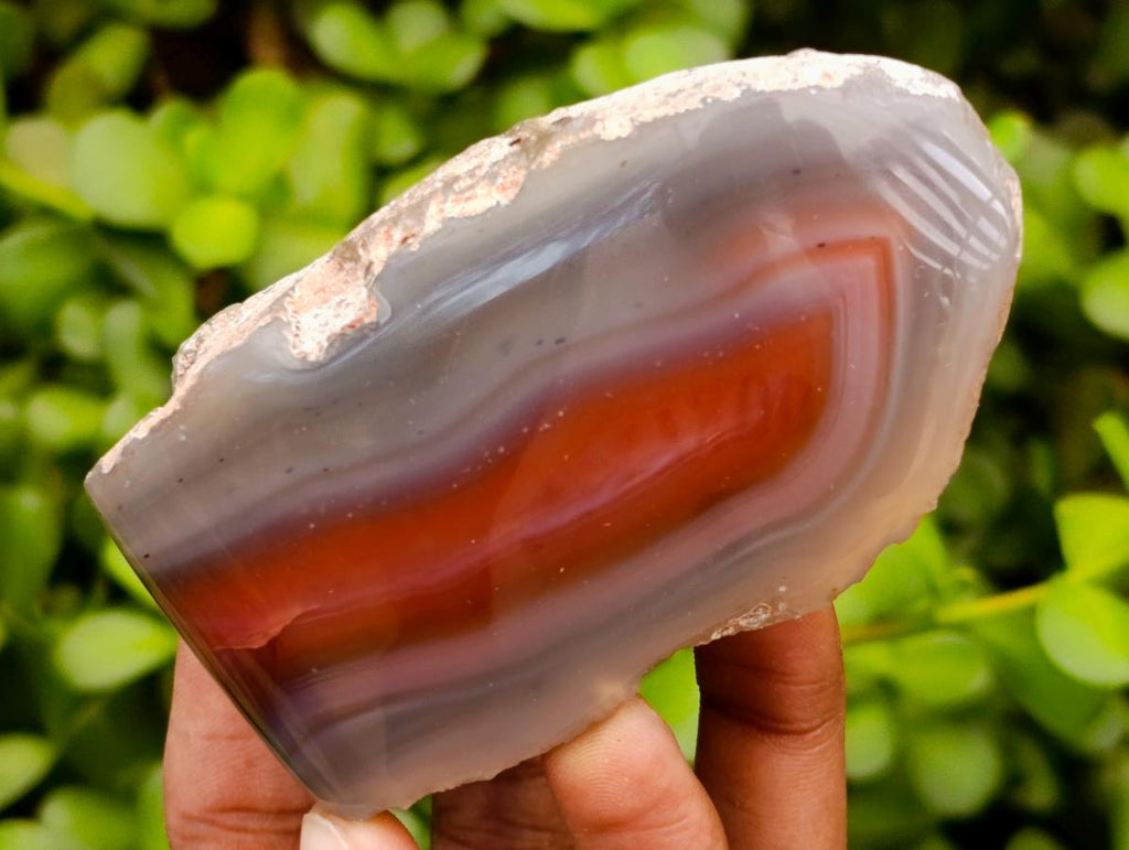Polished One Side  Red Shashe River Agate Nodules x 6 From Shashe River, Zimbabwe