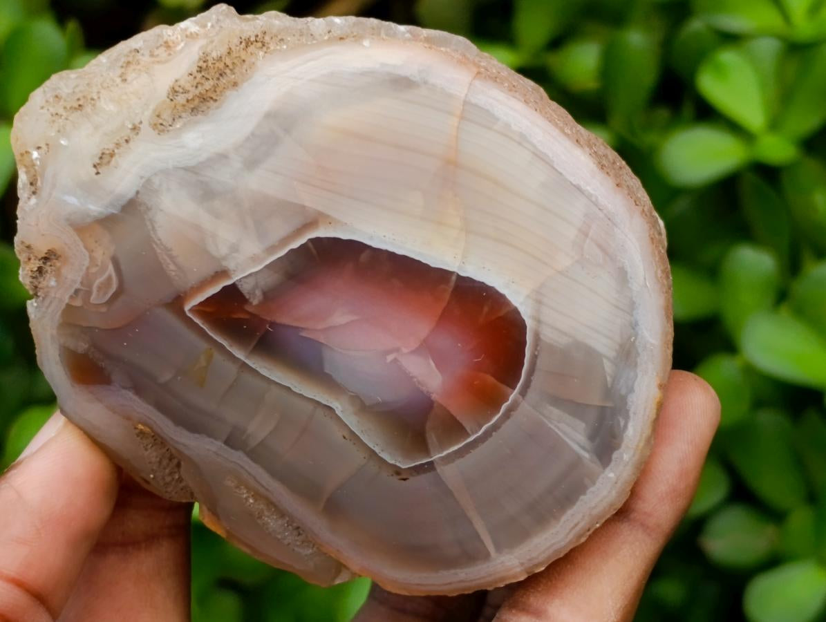 Polished One Side  Red Shashe River Agate Nodules x 6 From Shashe River, Zimbabwe
