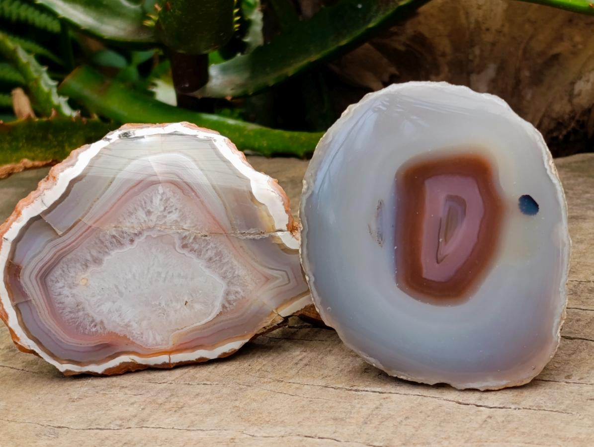 Polished One Side  Red Shashe River Agate Nodules x 6 From Shashe River, Zimbabwe