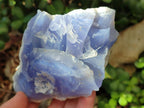Natural Blue Lace Agate Specimens x 5 From Nsanje, Malawi - Toprock Gemstones and Minerals 