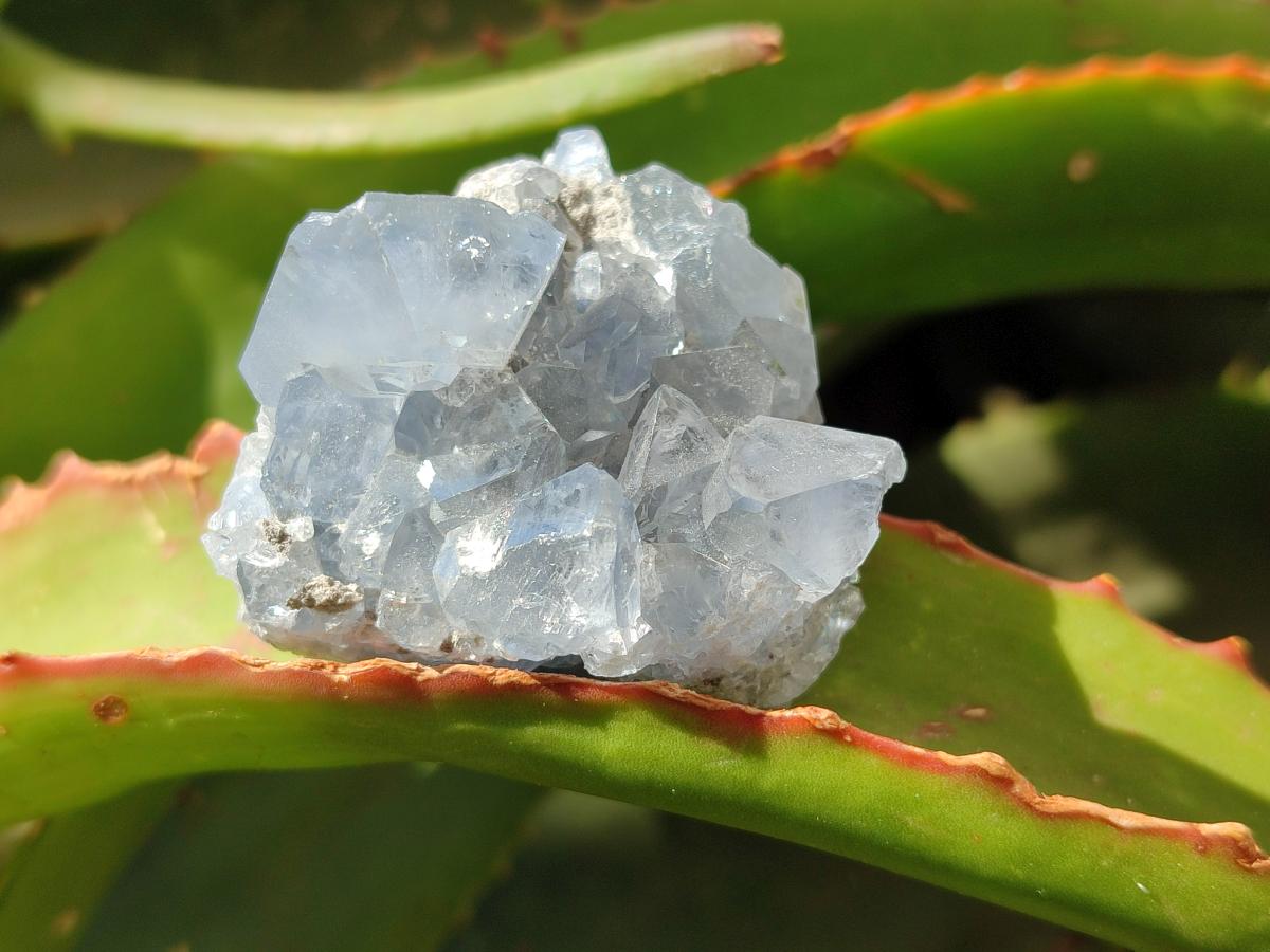 Natural Blue Celestite Specimens x 47 From Sakoany, Madagascar