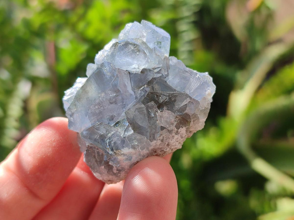 Natural Blue Celestite Specimens x 47 From Sakoany, Madagascar