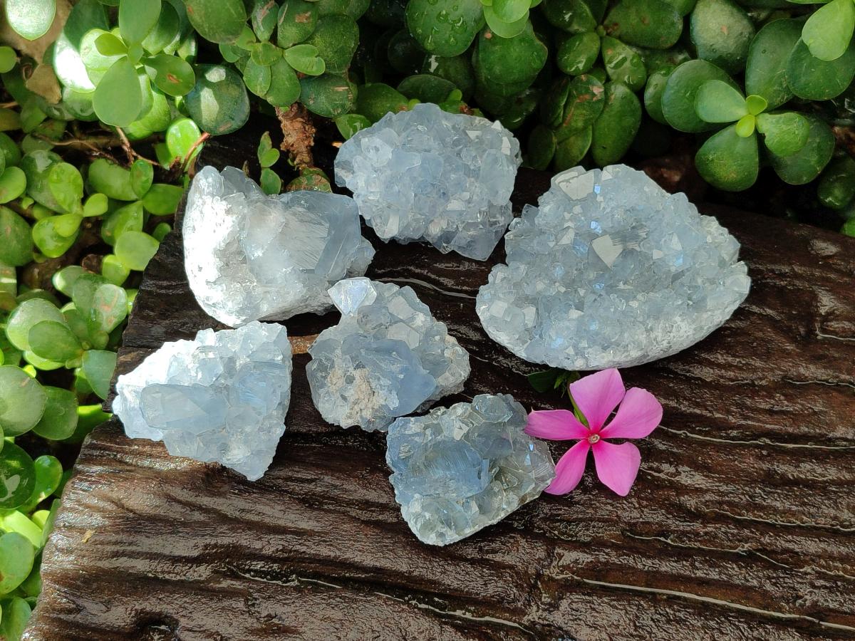 Natural Blue Celestite Specimens x 47 From Sakoany, Madagascar