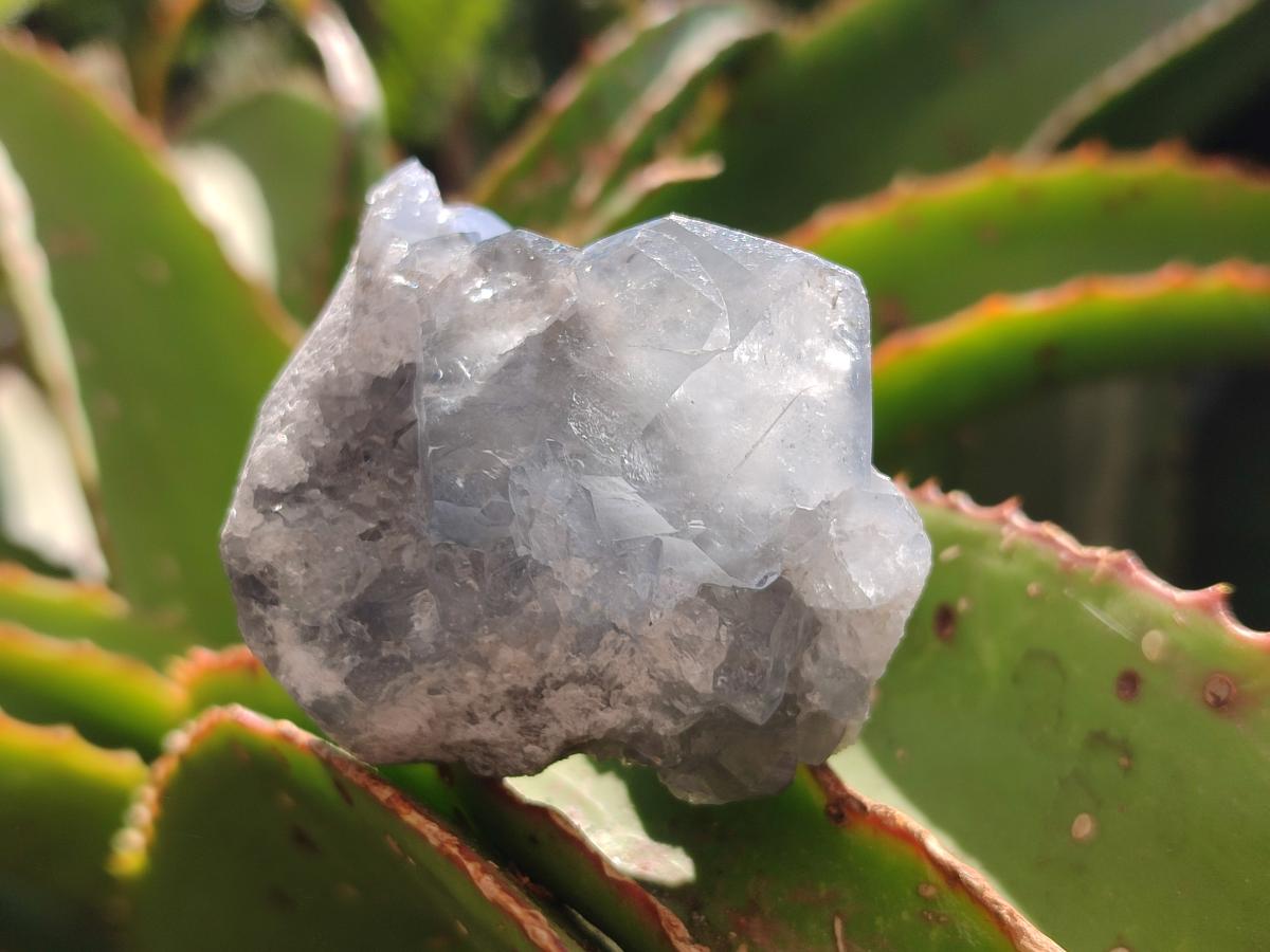 Natural Blue Celestite Specimens x 47 From Sakoany, Madagascar
