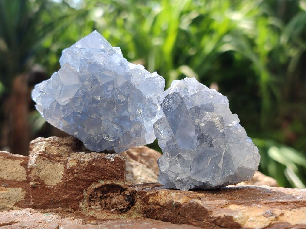 Natural Blue Celestite Specimens x 47 From Sakoany, Madagascar