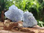 Natural Blue Celestite Specimens x 47 From Sakoany, Madagascar
