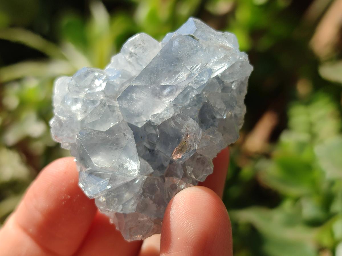 Natural Blue Celestite Specimens x 47 From Sakoany, Madagascar