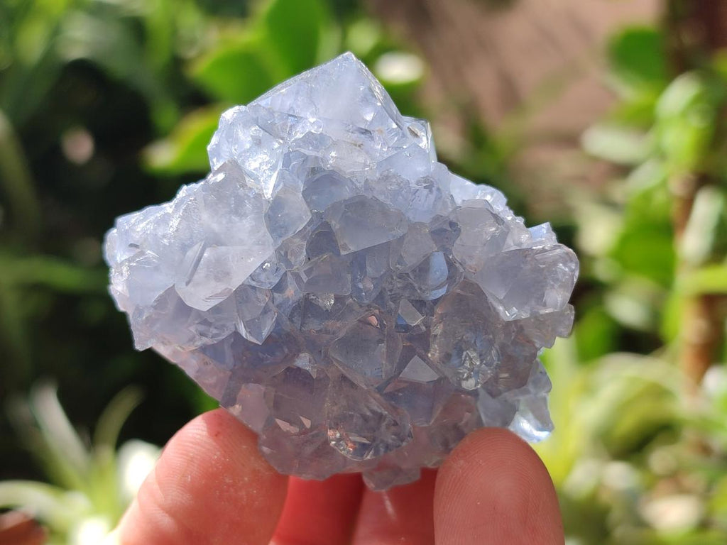 Natural Blue Celestite Specimens x 47 From Sakoany, Madagascar