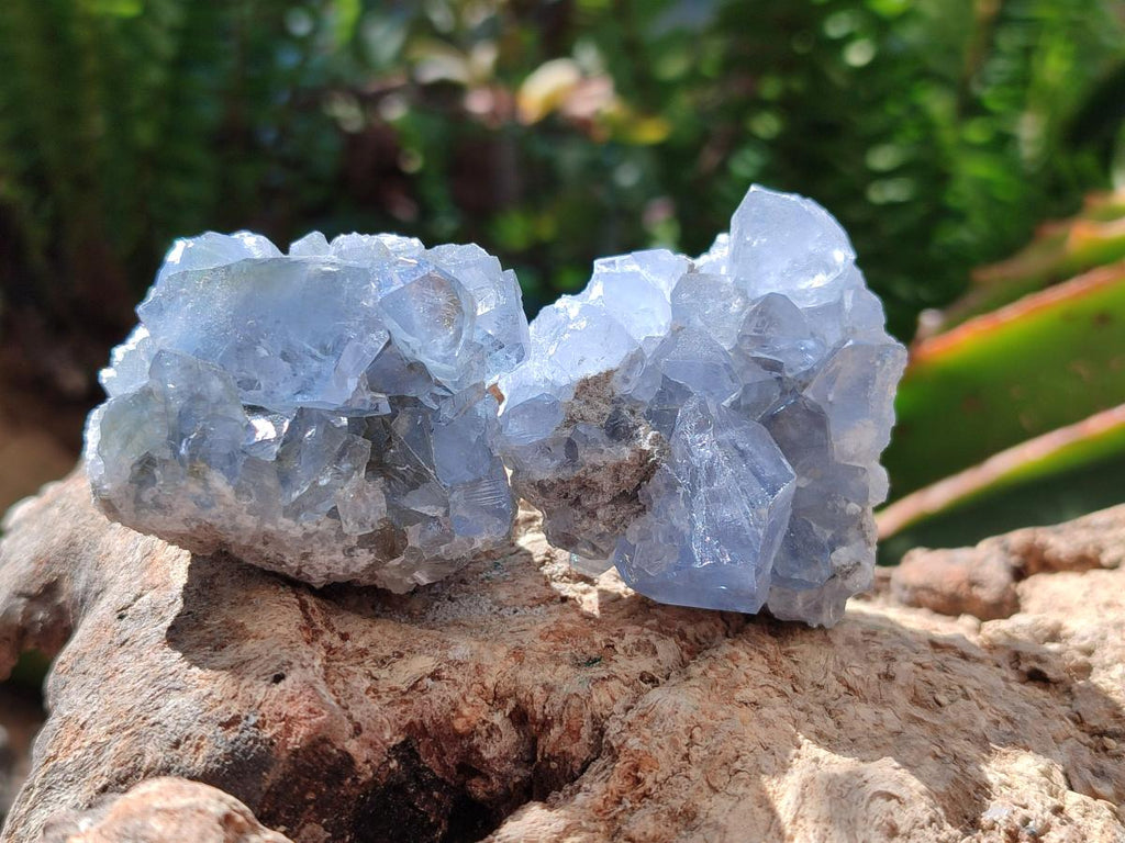 Natural Blue Celestite Specimens x 47 From Sakoany, Madagascar