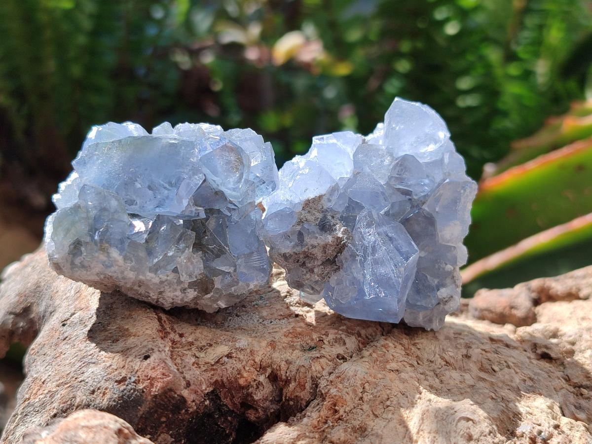 Natural Blue Celestite Specimens x 47 From Sakoany, Madagascar