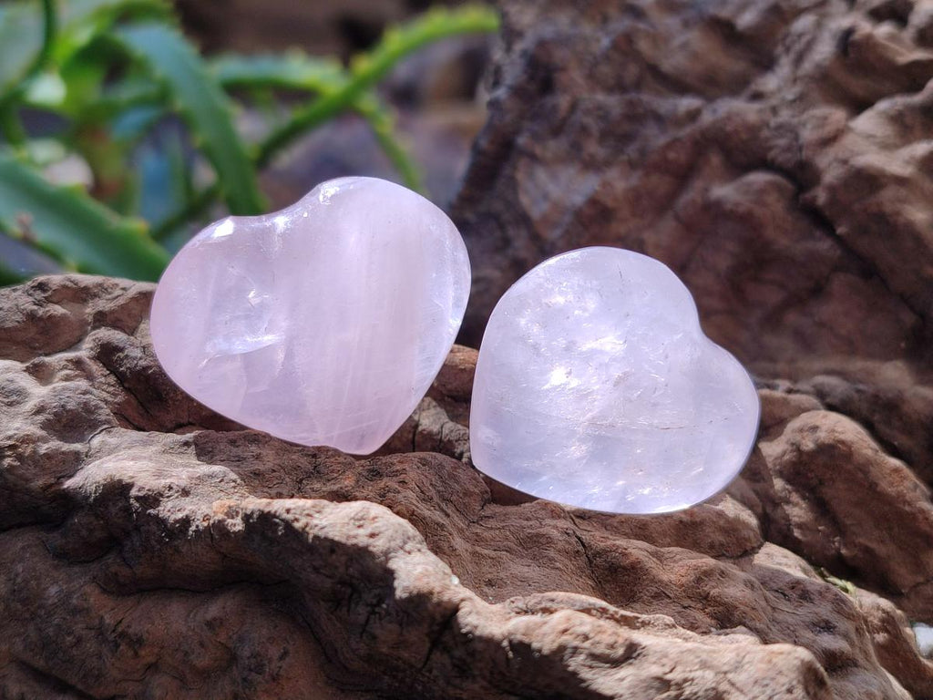 Polished Gemmy Rose Quartz Hearts x 20 From Madagascar