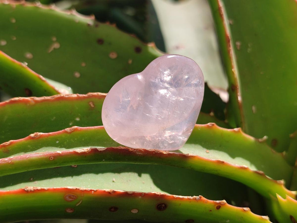 Polished Gemmy Rose Quartz Hearts x 20 From Madagascar