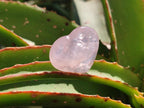 Polished Gemmy Rose Quartz Hearts x 20 From Madagascar