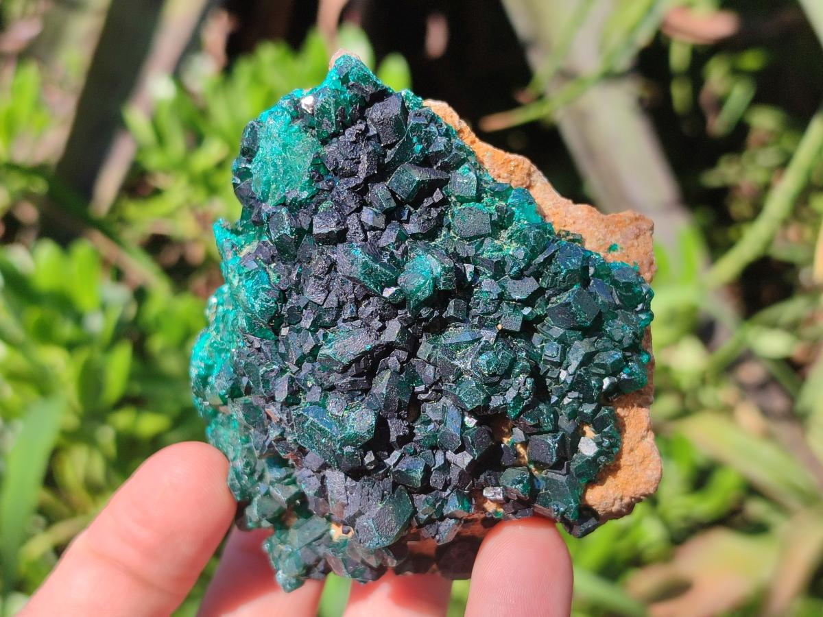Natural Dioptase on Dolomite Specimens x 3 From Likasi, Congo