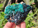Natural Dioptase on Dolomite Specimens x 3 From Likasi, Congo