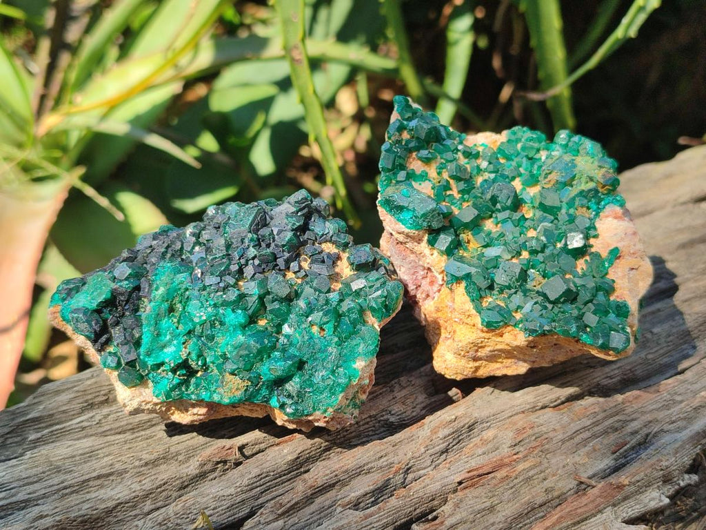 Natural Dioptase on Dolomite Specimens x 3 From Likasi, Congo