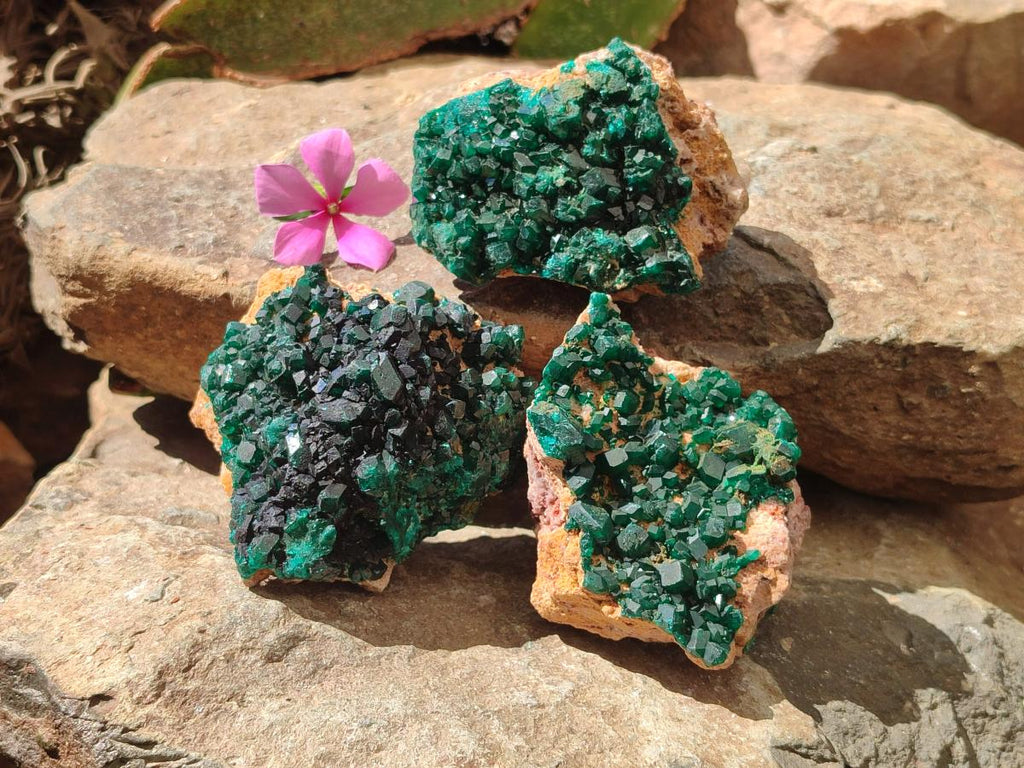 Natural Dioptase on Dolomite Specimens x 3 From Likasi, Congo