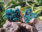 Natural Dioptase on Dolomite Specimens x 3 From Likasi, Congo