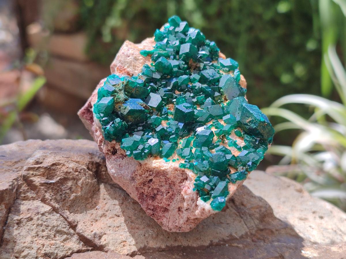 Natural Dioptase on Dolomite Specimens x 3 From Likasi, Congo