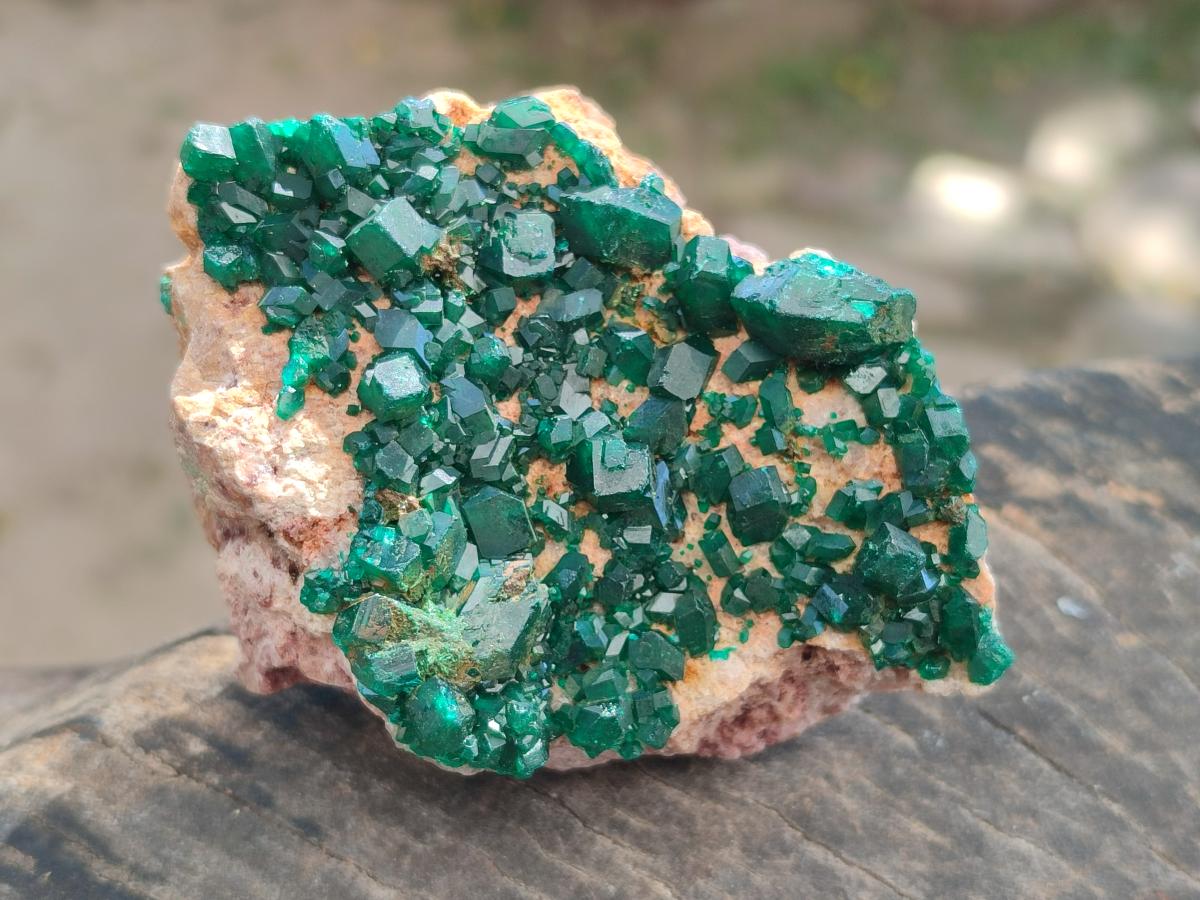 Natural Dioptase on Dolomite Specimens x 3 From Likasi, Congo