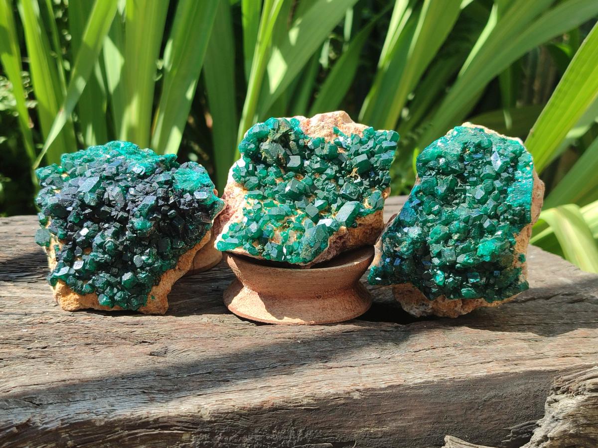 Natural Dioptase on Dolomite Specimens x 3 From Likasi, Congo