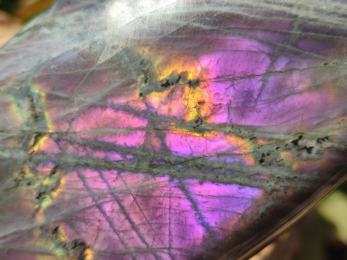 Polished Rare Purple Sunset Flash Labradorite Standing Free Forms x 2 From Madagascar