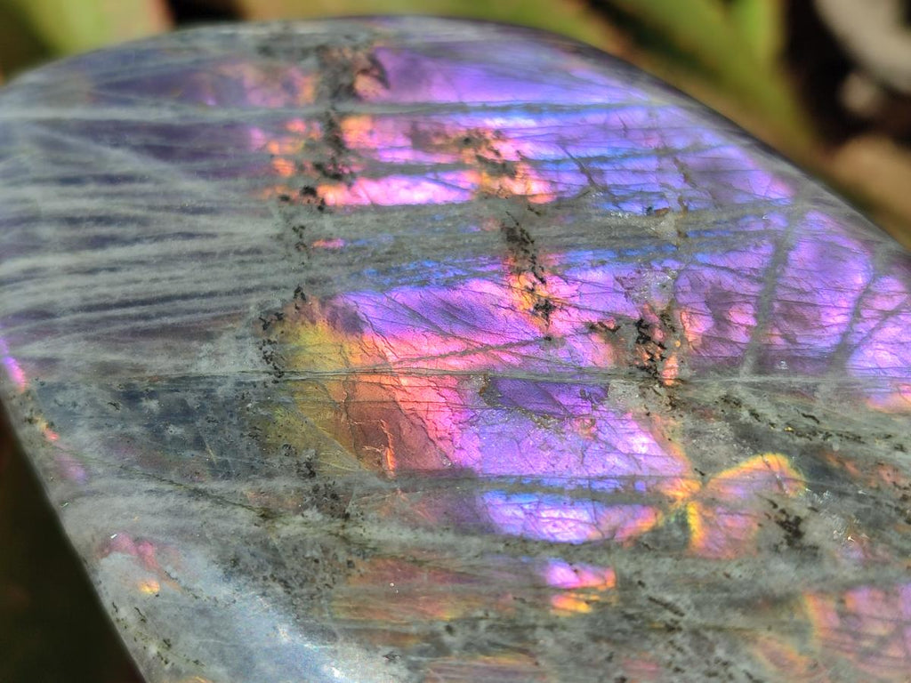 Polished Rare Purple Sunset Flash Labradorite Standing Free Forms x 2 From Madagascar