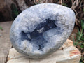 Polished Large Blue Celestite Gemstone Egg x 1 From Sakoany, Madagascar - Toprock Gemstones and Minerals 