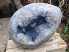 Polished Large Blue Celestite Gemstone Egg x 1 From Sakoany, Madagascar - Toprock Gemstones and Minerals 