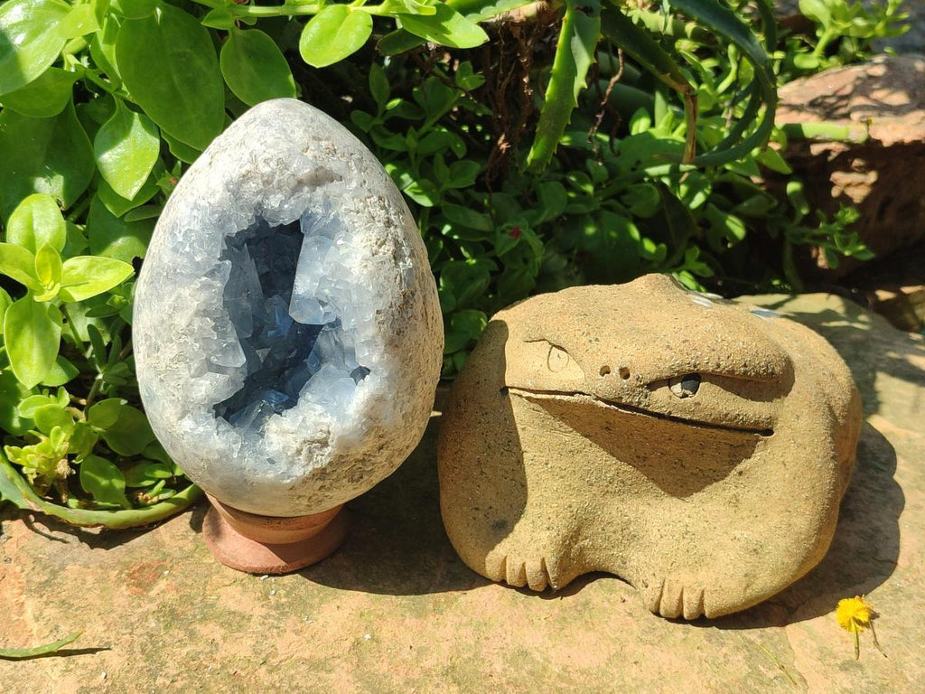 Polished Large Blue Celestite Gemstone Egg x 1 From Sakoany, Madagascar - Toprock Gemstones and Minerals 