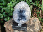 Polished Large Blue Celestite Gemstone Egg x 1 From Sakoany, Madagascar - Toprock Gemstones and Minerals 